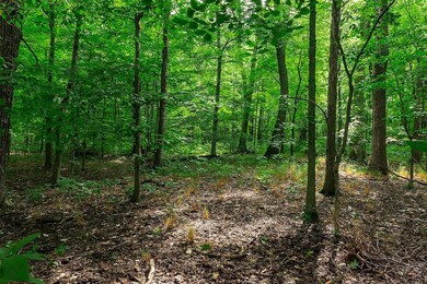 Back woods