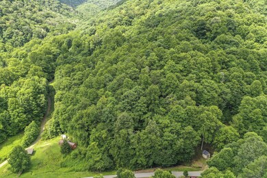 TBD Clarktown road Roan Mountain TN (4)