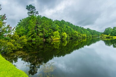 _DSC7847