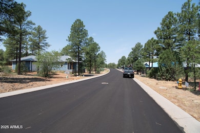 381 E Huckleberry Ln unit 4, Show Low, AZ 85901 - photo 5