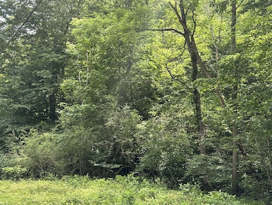 2812 Union Hill Rd, Joelton, TN 37080 - photo 4