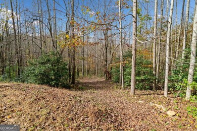 Lot 7 Highpoint Ridge Rd unit 7, Ellijay, GA 30536 - photo 6