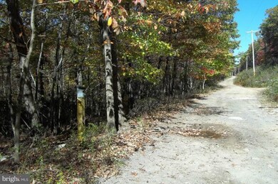 0 Johnny Cake Rd unit 1004197136, Great Cacapon, WV 25422 - photo 4