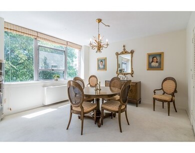 Hammond Park Condominiums unit 204, Chestnut Hill, MA 02467 - photo 6