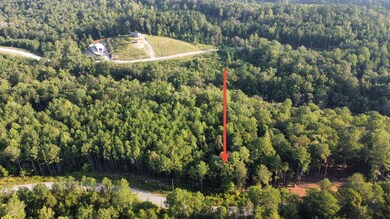 LOT 2 Shoreside at Sipsey, Double Springs, AL 35553 - photo 7