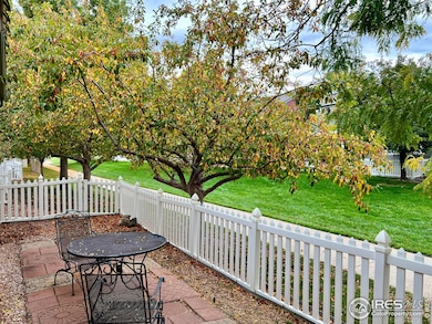 13963 Cook St, Thornton, CO 80602 - photo 3