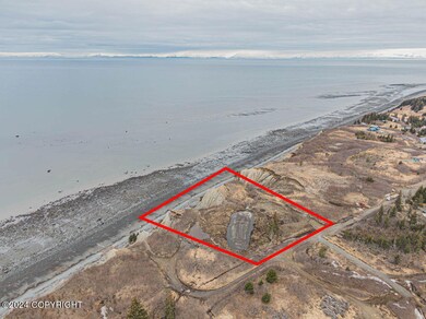 35835 Danver St, Anchor Point, AK 99556 - photo 3