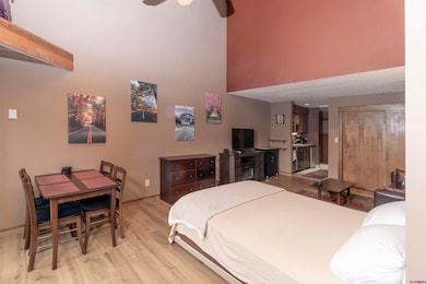 961 N Tamarron Dr unit 555, Durango, CO 81301 - photo 6