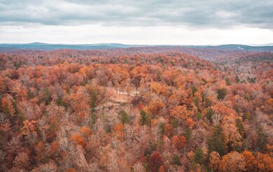 DJI_0873