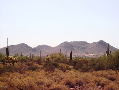 Lot View