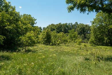 29 Acres on Coulter (16 of 19)
