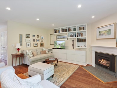 Fantastic modern built-ins
