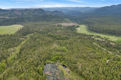 000 Hesseltine Lot 3 Rd, Valley, WA 99181 - photo 4