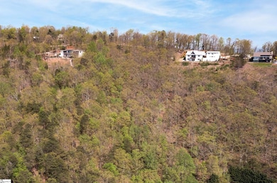 0 Laurel Ridge Rd unit Part lot 5/6, Greenville, SC 29609 - photo 5