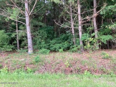 0 Waycross Rd unit 100293878, Turkey, NC 28393 - photo 2