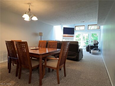 25064 Mill River Rd unit 25064, Olmsted Falls, OH 44138 - photo 6