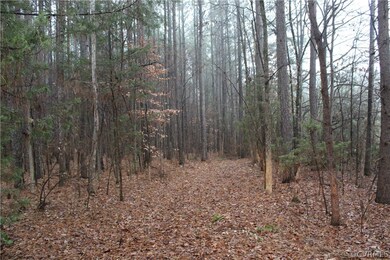 7.010 ACRES Genito Rd, Amelia Ct Hse, VA 23002 - photo 3