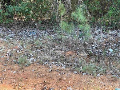 0 Howells Cove Rd unit 21433059, Talladega, AL 35160 - photo 5