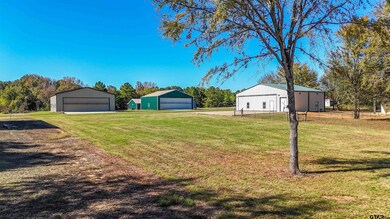 11612 Kitty Hawk Dr, Berryville, TX 75763 - photo 4