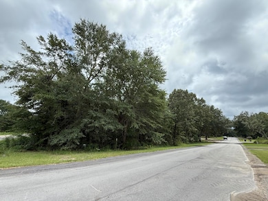 0000 Live Oak Ln, Barnwell, SC 29812 - photo 2