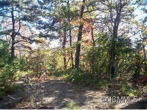 Area cleared for house site