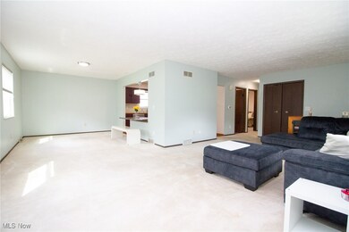 1159 Timbercrest St, Youngstown, OH 44505 - photo 6