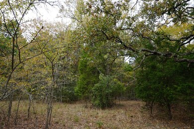 01 Cr 1316, Malakoff, TX 75148 - photo 4