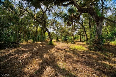 14221 River Rd, Fort Myers, FL 33905 - photo 6