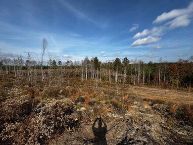 40 Boromville Rd, Hurtsboro, AL 36860 - photo 4