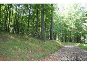 1218 Kanawa Ln unit 123, Arden, NC 28704 - photo 5