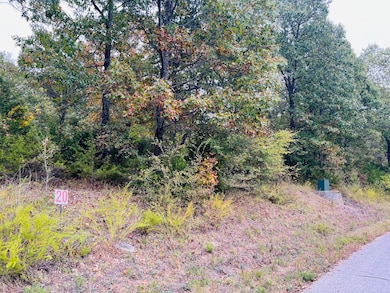 Lot 8 Hanging Branch Ridge, Flat Creek A Township, MO 65624 - photo 7