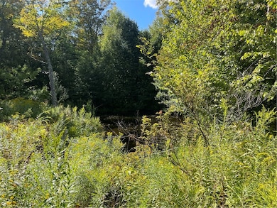 19.221 Turnpike Rd, East Meredith, NY 13757 - photo 7