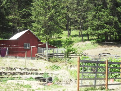garden shed and garden