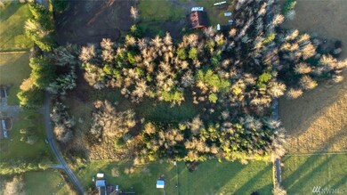 0 302nd Ave SE, Enumclaw, WA 98022 - photo 6