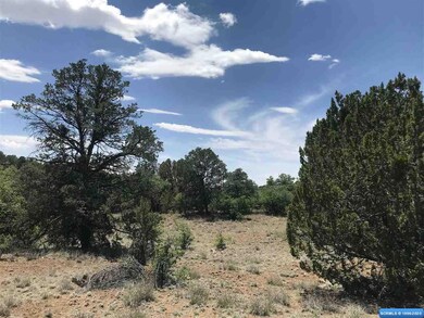 xx Oakhurst & Nizhoni, Silver City, NM 88061 - photo 4