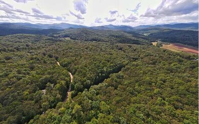 22.07 Valley Branch Rd, Blue Ridge, GA 30513 - photo 3