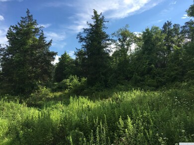 0 Roundtop #3 Rd, Germantown, NY 12526 - photo 3