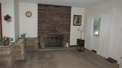 Wood Burning Fireplace