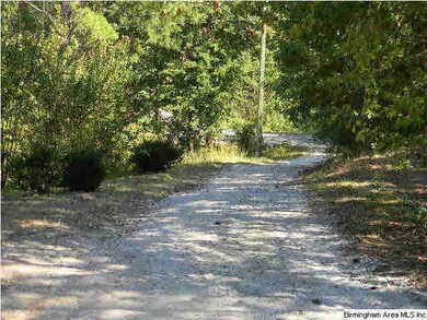 The driveway access.