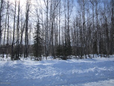 Large Wooded Lots for Privacy