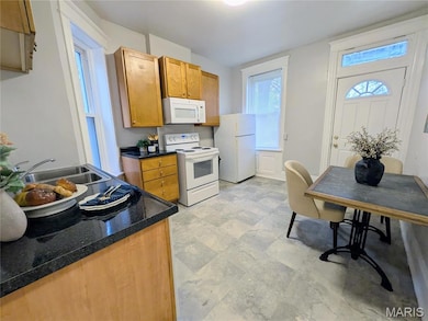 3418 Hartford St, Saint Louis, MO 63118 - photo 7