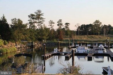 29664 Colony Dr unit C14, Dagsboro, DE 19939 - photo 5