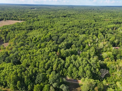 4314 Adams Rd, Lake, MI 48632 - photo 3