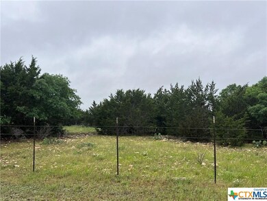 633 Apache St, Kempner, TX 76539 - photo 3