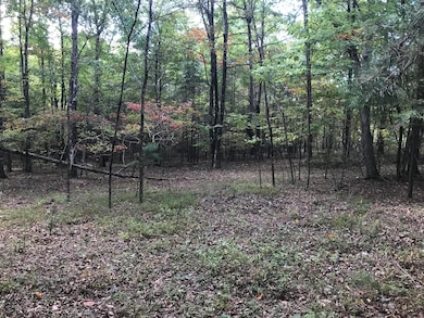 57 Deer Point Dr, Dunlap, TN 37327 - photo 3