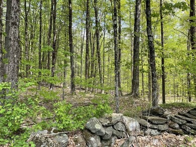 0 Stage Rd unit 72973282, Cummington, MA 01026 - photo 2