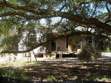 Photo. Beautiful oak tree in front yard.