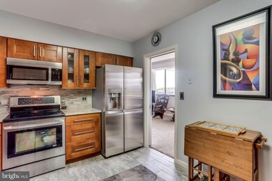 5501 Seminary Rd unit 308S, Baileys Crossroads, VA 22041 - photo 2