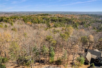 3356 Bee Balm Way, Big Canoe, GA 30148 - photo 5