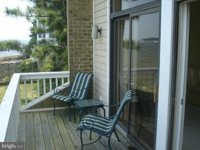 8 Eastern Ave unit 20, Annapolis, MD 21403 - photo 3